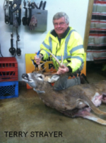 Man holding killed buck